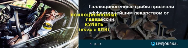 МДПВ Дмитровск