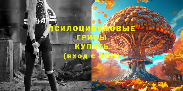 МДПВ Дмитровск