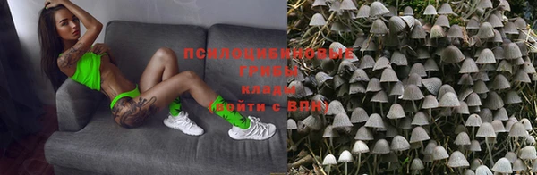 МДПВ Дмитровск