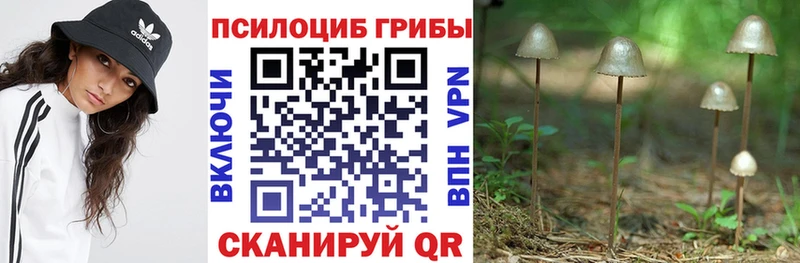 Купить  Коряжма  Псилоцибиновые грибы MAGIC MUSHROOMS 
